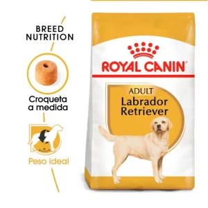 Royal Canin Labrador Retriever Adult | Pienso Perros de Raza (3kg | 12kg | 12+2kg)