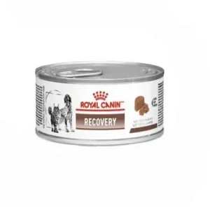 ROYAL CANIN LATA RECOVERY CAT/DOG 195 GR