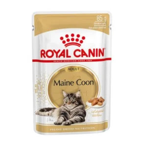 Royal Canin Maine Coon comida húmeda para gato adulto