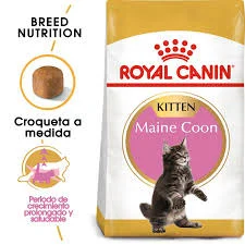 Royal Canin Maine Coon Kitten 4kg | 10kg