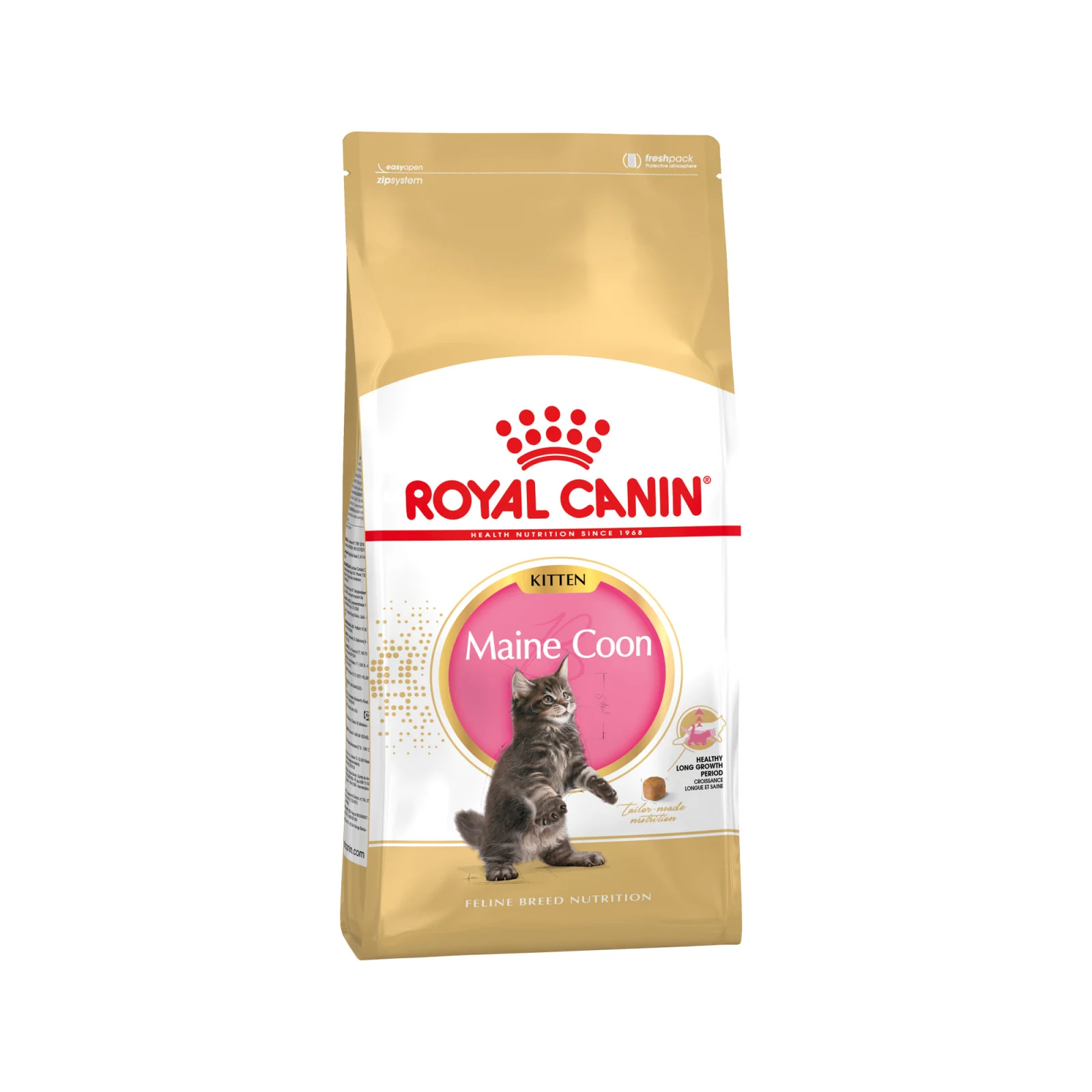 Royal Canin Maine Coon Kitten - Comida para gatos