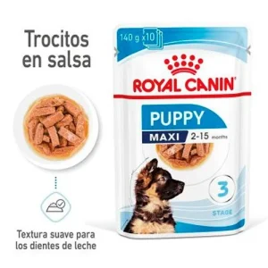 Royal Canin Maxi Puppy en salsa para perros 10x140g