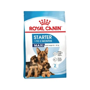 Royal Canin Maxi Starter Mother & Babydog - Comida para Perros