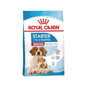 Royal Canin Medium Starter Mother & Babydog - Comida para Perros