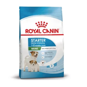 Royal Canin Mini Starter Mother & Babydog pienso para cachorro