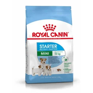 Royal Canin Mini Starter Mother & Babydog | Pienso para Madres y Cachorros de Razas Pequeñas 1kg, 4kg y 8kg