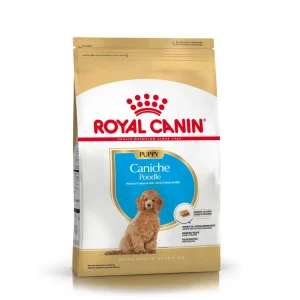 ROYAL CANIN POODLE PUPPY