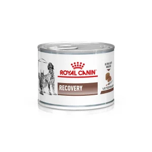 Royal Canin Recovery
