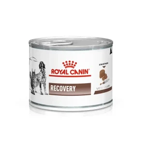 Royal Canin Recovery Perros y Gatos Lata 145 GR