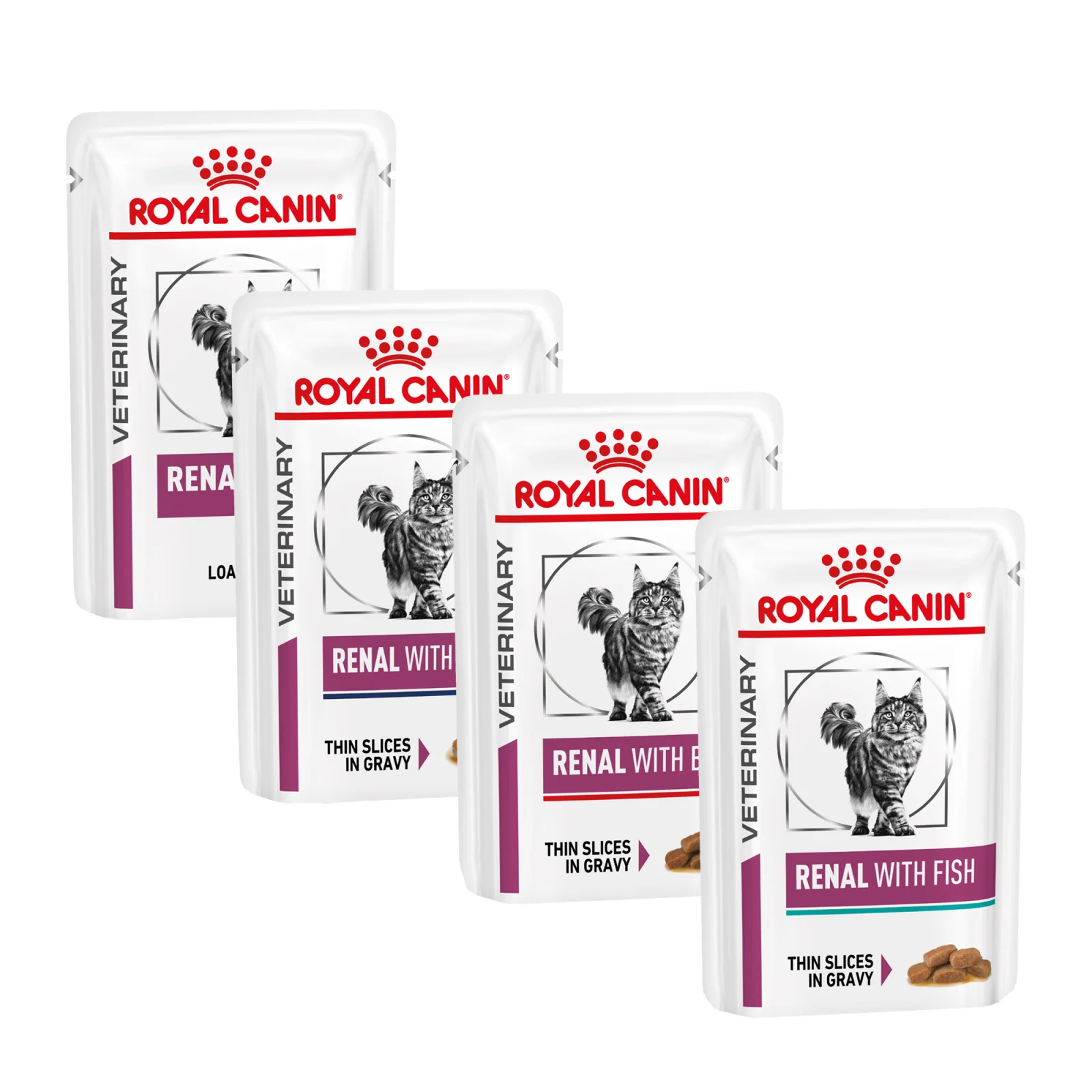 Royal Canin Renal Gato - Bolsa de Comida
