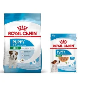 Royal Canin Size pienso para perros + comida húmeda: ¡15 % de descuento! Mini Puppy (4 kg) + Mini Puppy en salsa (12 x 85 g)