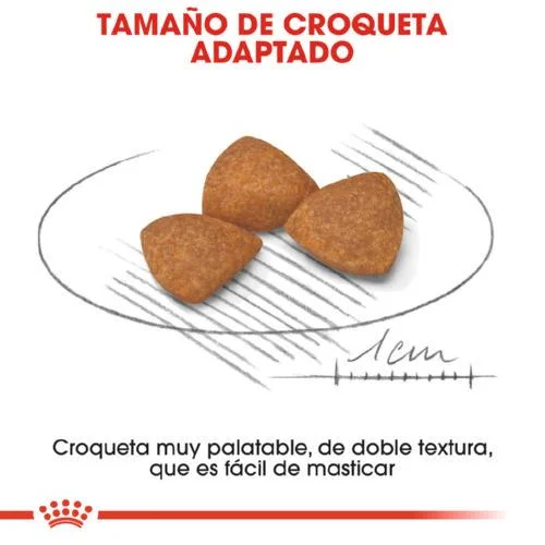Royal Canin X-Small Ageing 12 (1,5kg y Pack 2×1,5kg) - Image 2