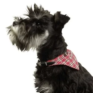 SanDimas Champú Suavizante para perros yorkshire