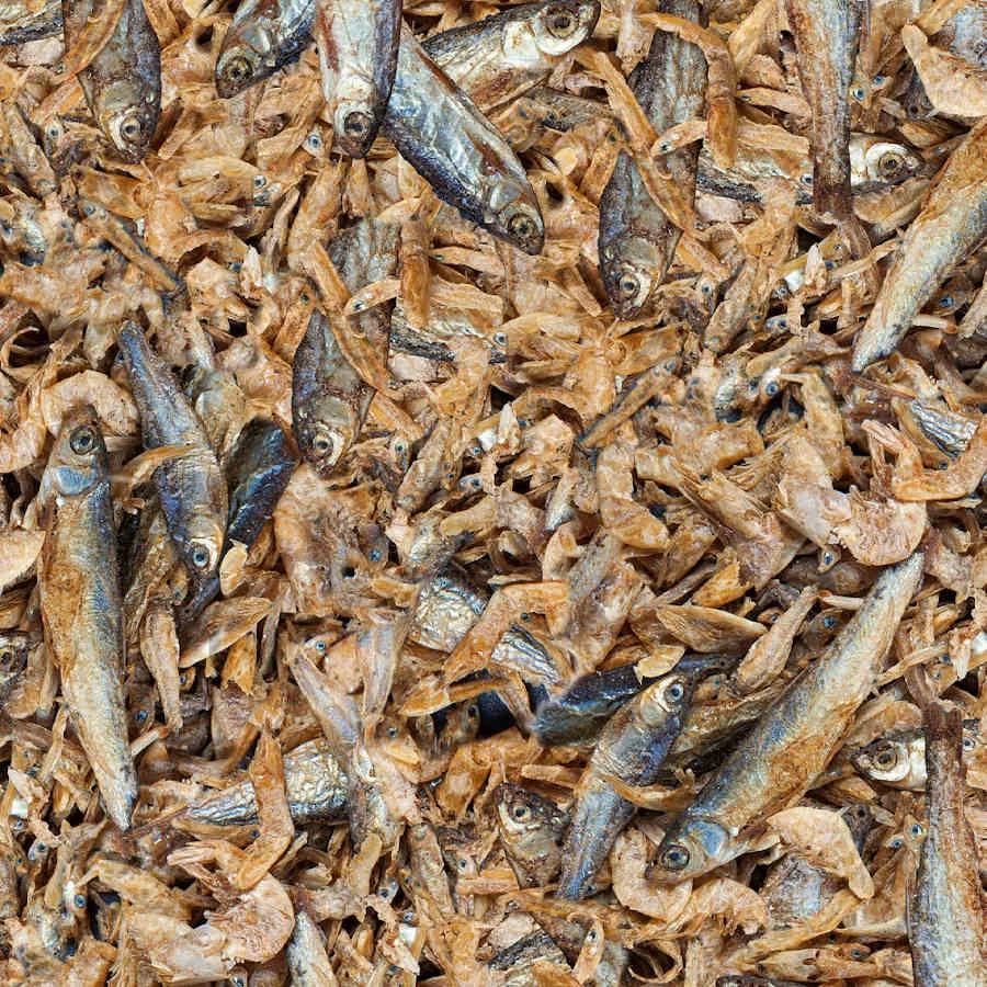 Sera Raffil Royal Nature alimento para reptiles - Image 2