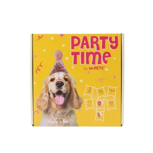 SET DE CELEBRACION PARTY TIME