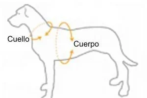 Si lo que buscas es un arnés resistente, duradero y cómodo para pasear con tu perro Ferplast arnés para perros de nylon acolchado rojo te encantará.