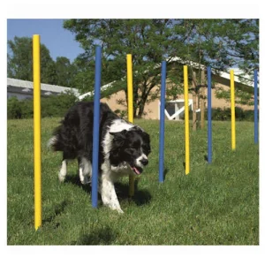 Slalom barras en zigzag de agility para perros