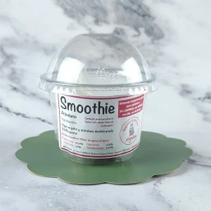 Smoothie de Yogur y Arándanos 200 ml