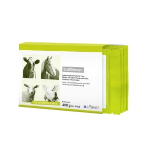 StullDiarsan | Caballo