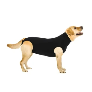 Suitical Recovery Suit Perro