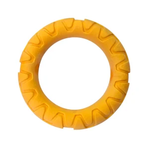 Summer Vibes Anillo Flotante Naranja para perros