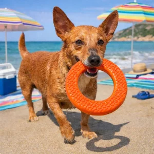 Summer Vibes Circulo Refrescante Naranja Mordedor para perros