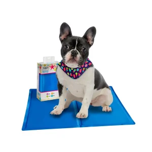 Summer Vibes Funny Manta Refrescante para perros y gatos