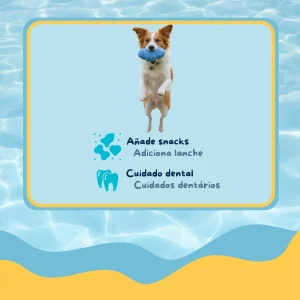Summer Vibes Pelota Rugby Mordedor Juguete para perros
