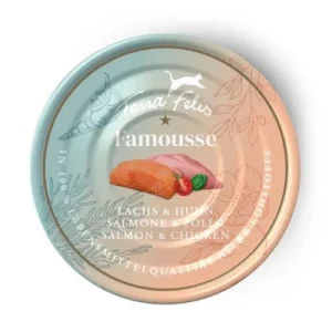 Terra Felis Famousse 12 x 80 g Salmón y pollo