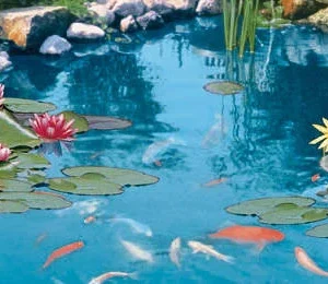 Tetra Pond Sticks para peces de lago
