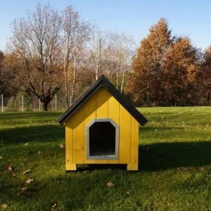 TK-Pet Alpine Caseta de Madera Amarilla para perros
