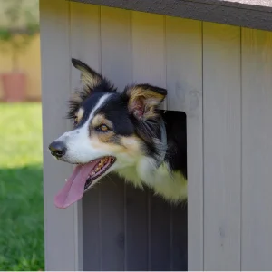TK-Pet Lake Caseta de Madera para perros