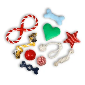 Tootoy! Chew Exploration Toys