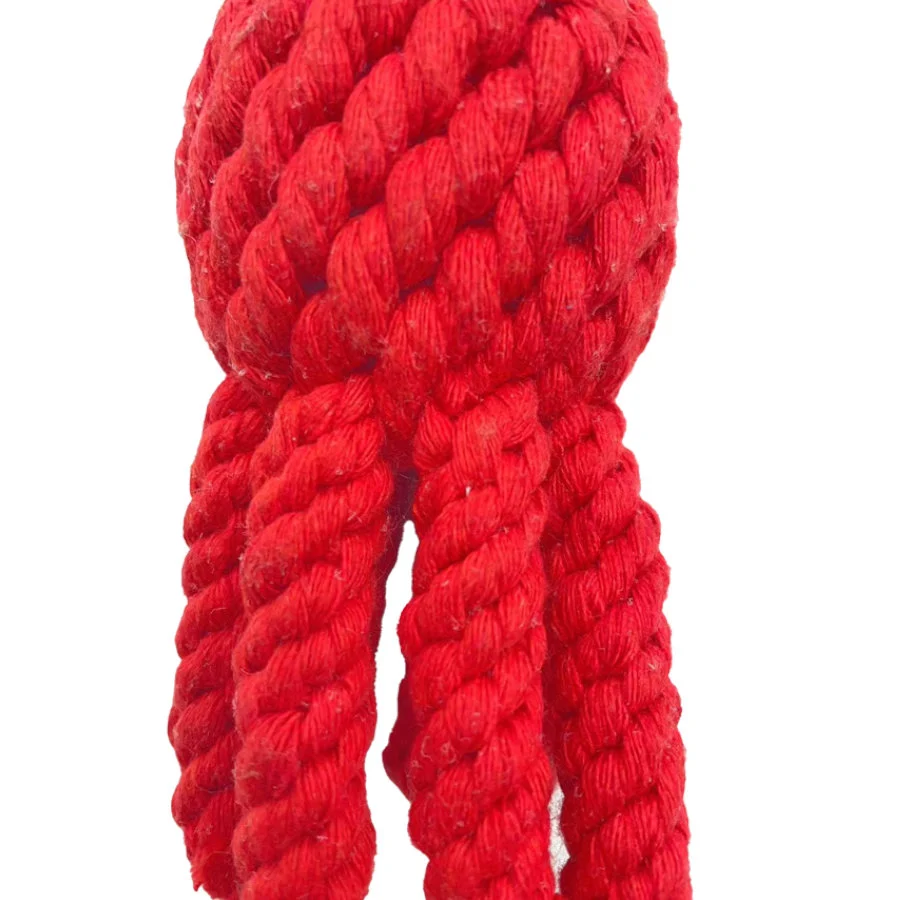 Tootoy! Comfort Octopus & Sea juguete de cuerda para perros - Image 2