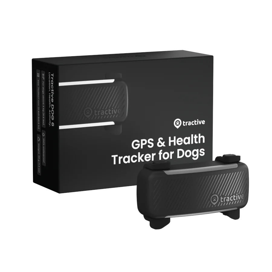 Tractive GPS Dog 6 Negro Rastreador para perros