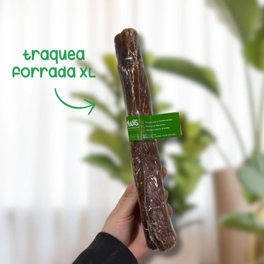 TRAQUEA FORRADA GROWIS XL