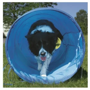 Túnel flexible de agility para perros