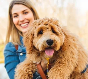 Un collar antiparasitario para tu perro o gato