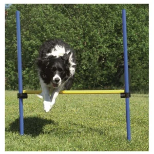 Valla de salto de agility para perros