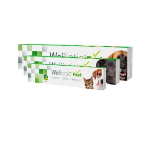 Wepharm WeBiotic Fast - Pasta