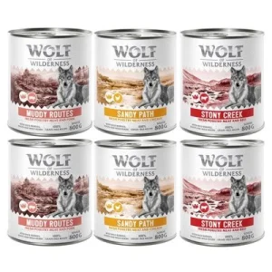 Wolf of Wilderness Expedition Senior 6 x 800 g Pack mixto