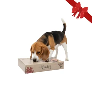 Wonder Christmas Caja Sorpresa Juguetes Navideños para perros