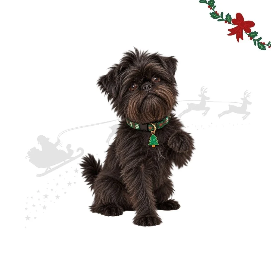 Wonder Christmas Colgante Collar Árbol Navidad para perros