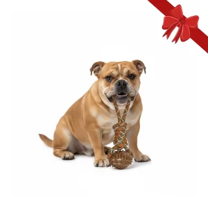 Wonder Christmas Juguete de Cuerda y Mordedor Navideño para perros