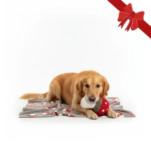 Wonder Christmas Pack Regalo Peluche y Manta Navideña para perros