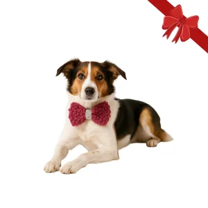 Wonder Christmas Pajarita Navideña Roja para perros
