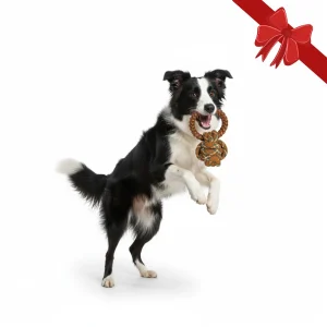Wonder Christmas Pelota de Cuerda y Mordedor Navideño para perros