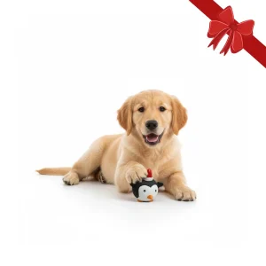 Wonder Christmas Pelota de Pingüino Navideña para perros