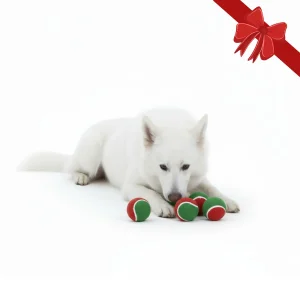 Wonder Christmas Pelotas de Tenis Navideñas para perros