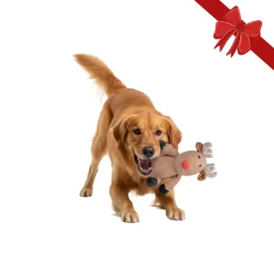 Wonder Christmas Peluche Reno Navideño para perros